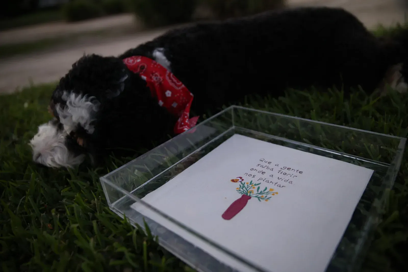 A framed piece, waiting in the grass