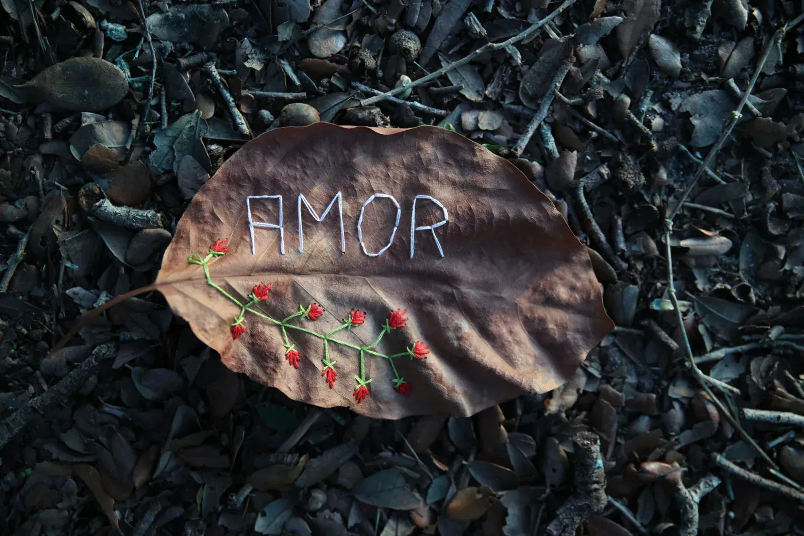 “Amor”, on a leaf picked up off the ground