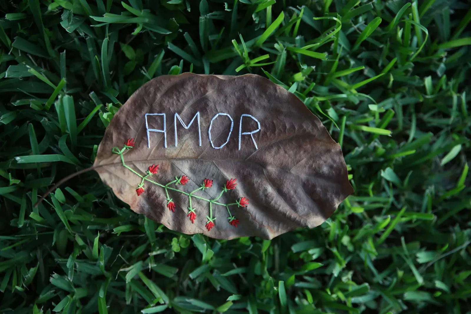 The same leaf, moved into the light